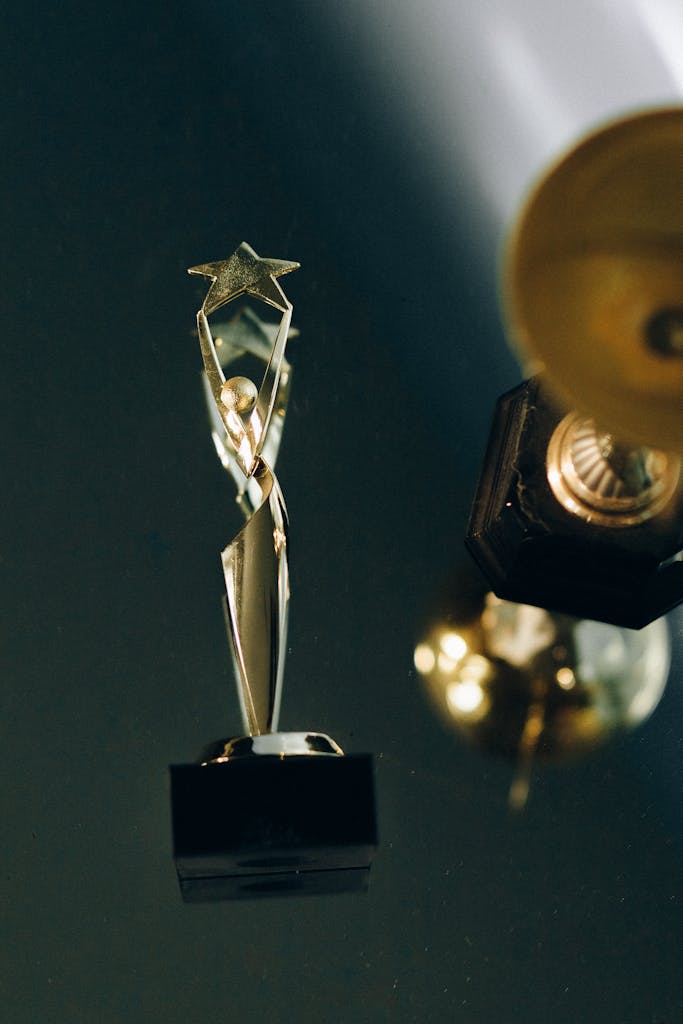 A sleek silver trophy with a star top, beautifully reflecting on a dark surface, symbolizing achievement and success.