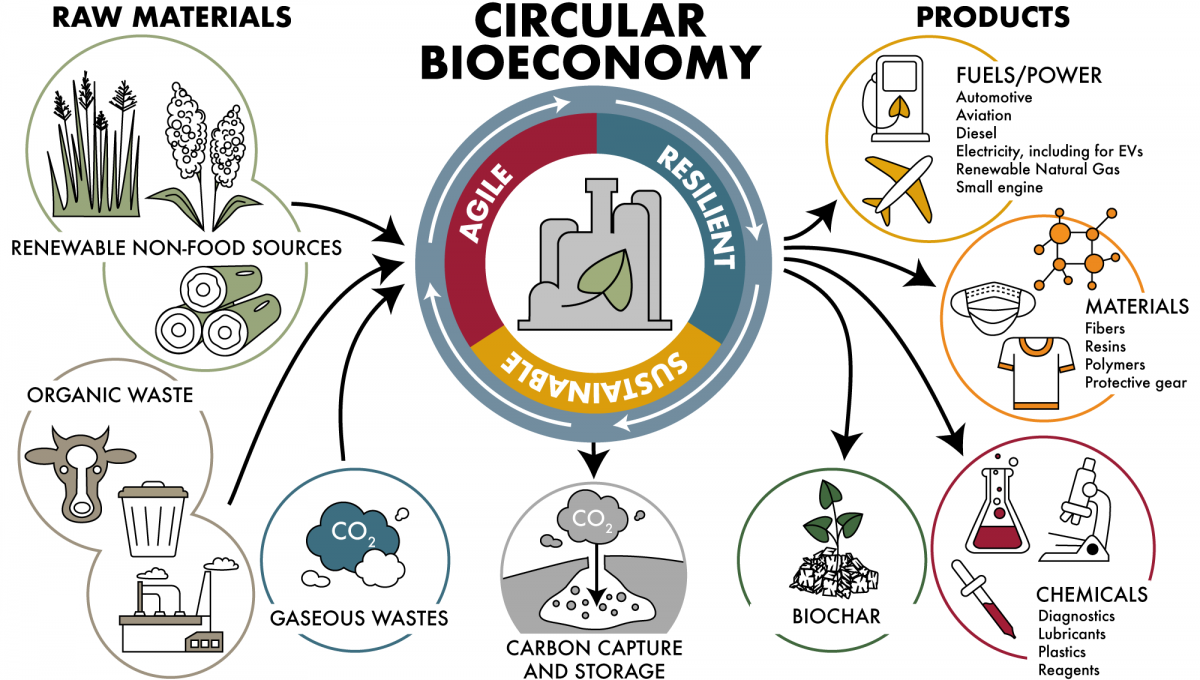 Circular economy - Buklam